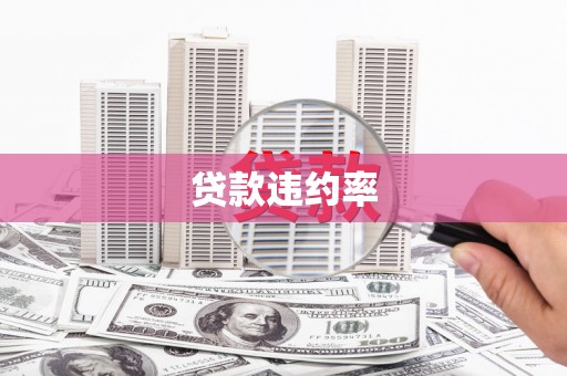 盐山贷款违约率