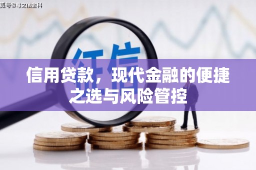 冕宁信用贷款，现代金融的便捷之选与风险管控