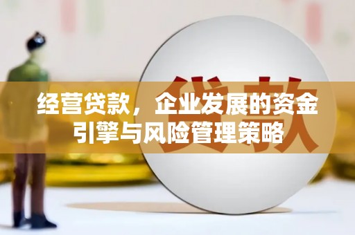 东台经营贷款，企业发展的资金引擎与风险管理策略