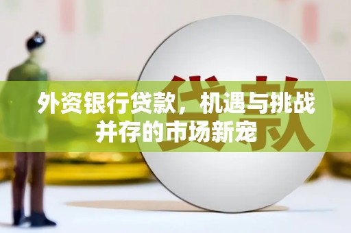 宾县外资银行贷款，机遇与挑战并存的市场新宠