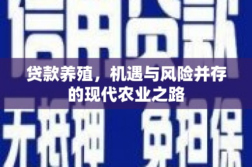 那玛夏贷款养殖，机遇与风险并存的现代农业之路
