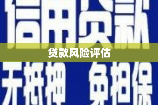 聂荣贷款风险评估