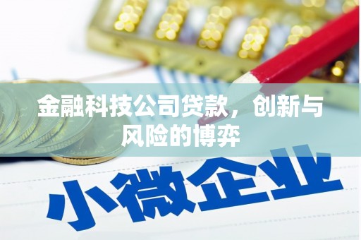 上甘岭金融科技公司贷款，创新与风险的博弈