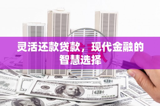 平陆灵活还款贷款，现代金融的智慧选择