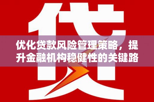 庄浪优化贷款风险管理策略，提升金融机构稳健性的关键路径