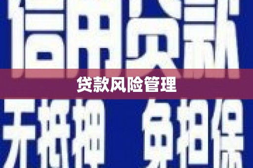 江川贷款风险管理