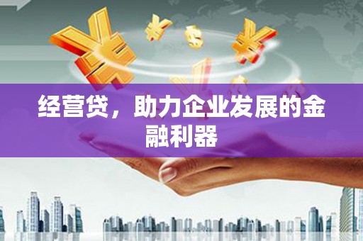 南海经营贷，助力企业发展的金融利器