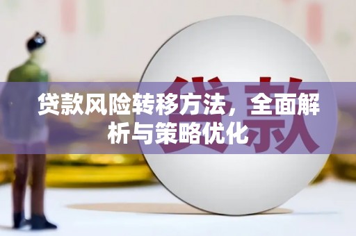 中坜贷款风险转移方法，全面解析与策略优化