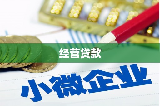 宁江经营贷款