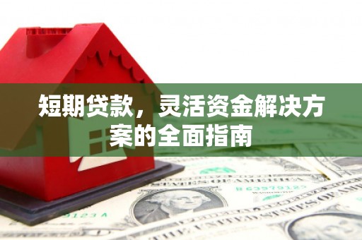 新河短期贷款，灵活资金解决方案的全面指南