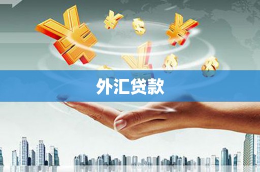 志丹外汇贷款