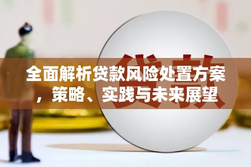 天台全面解析贷款风险处置方案，策略、实践与未来展望