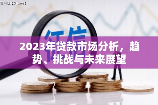普湾新区2023年贷款市场分析，趋势、挑战与未来展望