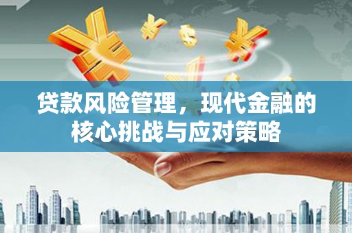 连山贷款风险管理，现代金融的核心挑战与应对策略