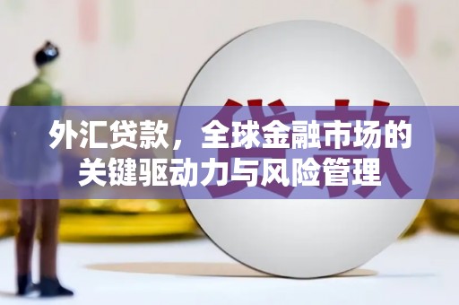 田家庵外汇贷款，全球金融市场的关键驱动力与风险管理