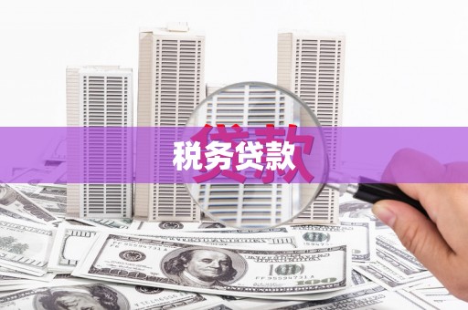 容县税务贷款