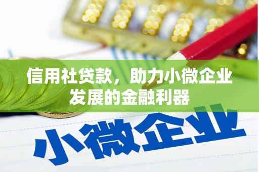 岷县信用社贷款，助力小微企业发展的金融利器