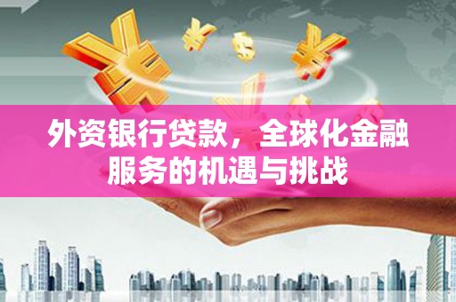 丰原外资银行贷款，全球化金融服务的机遇与挑战