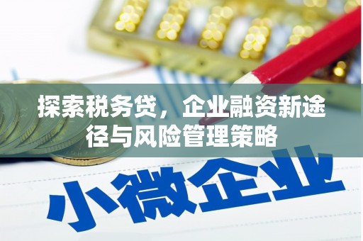 湖北探索税务贷，企业融资新途径与风险管理策略