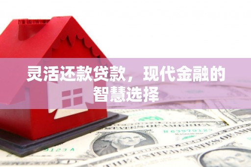 温宿灵活还款贷款，现代金融的智慧选择