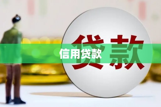 杂多信用贷款