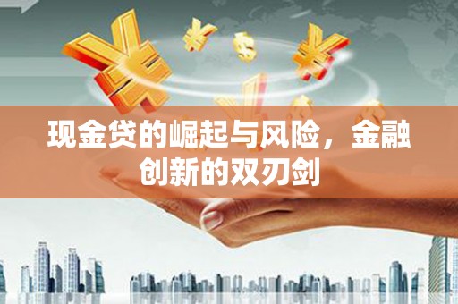 泽普现金贷的崛起与风险，金融创新的双刃剑
