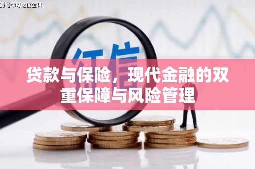 朱家尖贷款与保险，现代金融的双重保障与风险管理