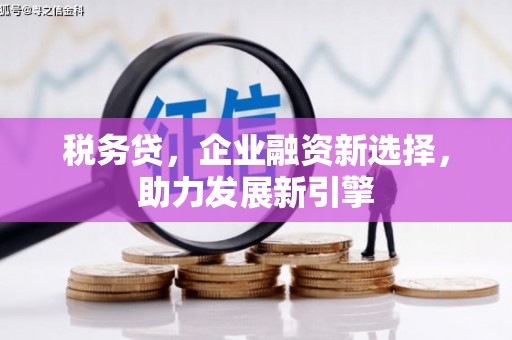 江干税务贷，企业融资新选择，助力发展新引擎