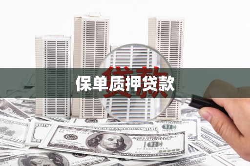 郧西保单质押贷款