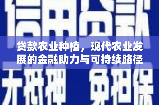 竹崎贷款农业种植，现代农业发展的金融助力与可持续路径