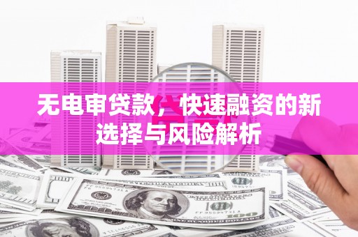 乐都无电审贷款，快速融资的新选择与风险解析