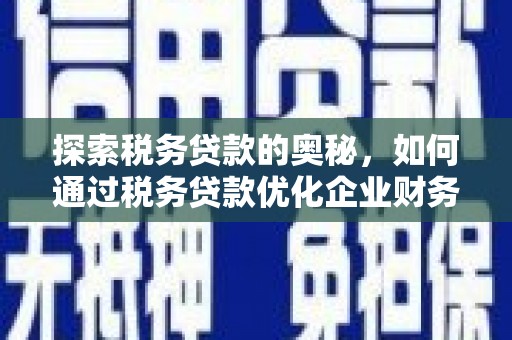 宜君探索税务贷款的奥秘，如何通过税务贷款优化企业财务