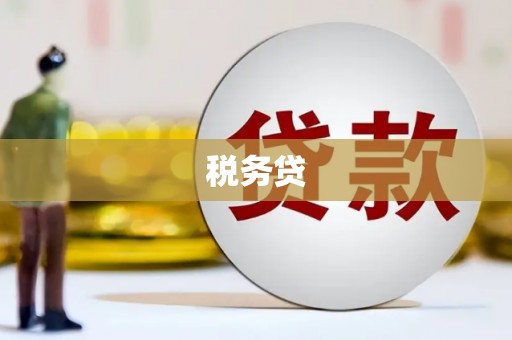 辽源税务贷