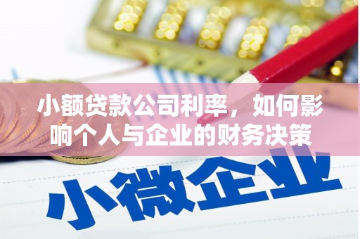 中区小额贷款公司利率，如何影响个人与企业的财务决策