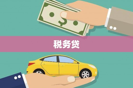 静宁税务贷
