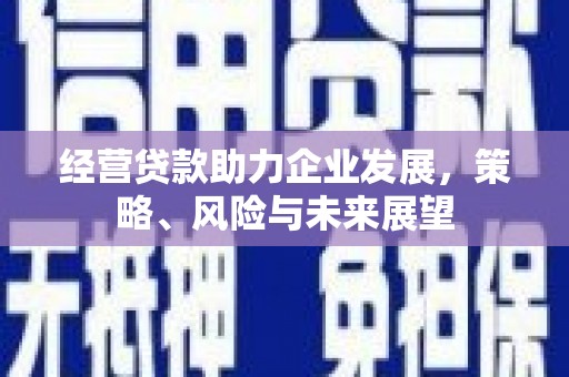 霍林郭勒经营贷款助力企业发展，策略、风险与未来展望