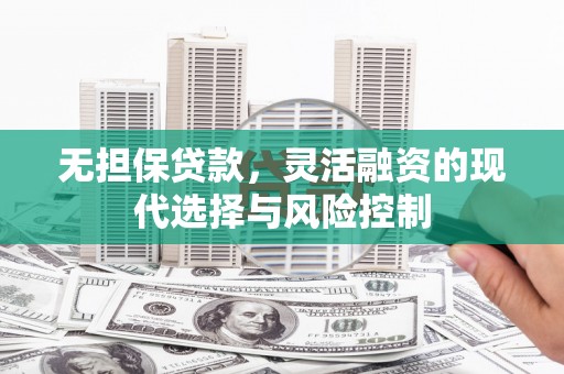 玉树无担保贷款，灵活融资的现代选择与风险控制