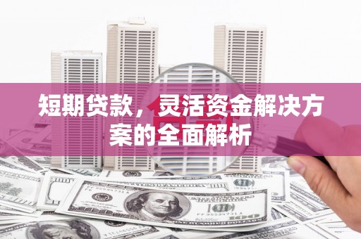 巧家短期贷款，灵活资金解决方案的全面解析