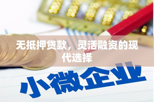 美溪无抵押贷款，灵活融资的现代选择