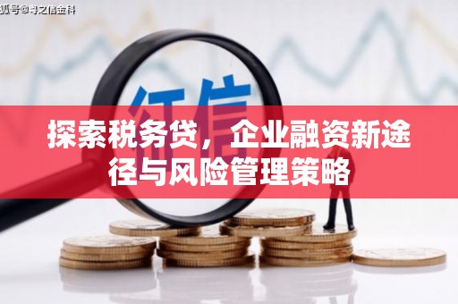 托克托探索税务贷，企业融资新途径与风险管理策略