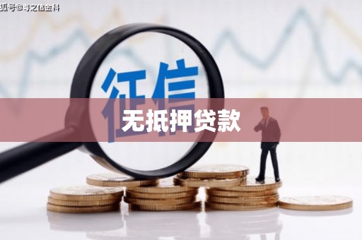 普湾新区无抵押贷款