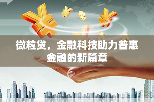 田林微粒贷，金融科技助力普惠金融的新篇章