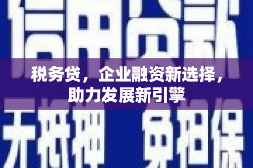 庄浪税务贷，企业融资新选择，助力发展新引擎