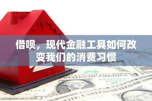 稷山借呗，现代金融工具如何改变我们的消费习惯