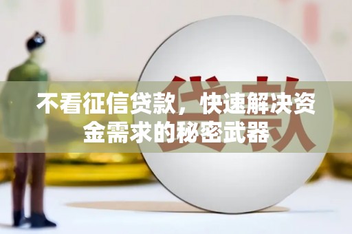 桥东不看征信贷款，快速解决资金需求的秘密武器