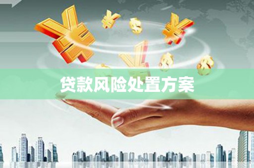 泸溪贷款风险处置方案