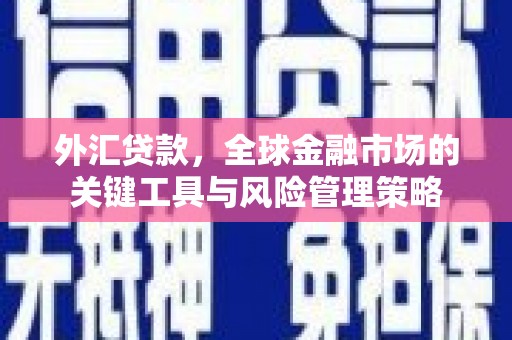 鹿城外汇贷款，全球金融市场的关键工具与风险管理策略