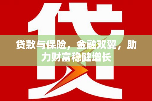 修文贷款与保险，金融双翼，助力财富稳健增长