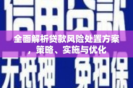 点军全面解析贷款风险处置方案，策略、实施与优化