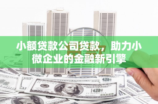 中宁小额贷款公司贷款，助力小微企业的金融新引擎